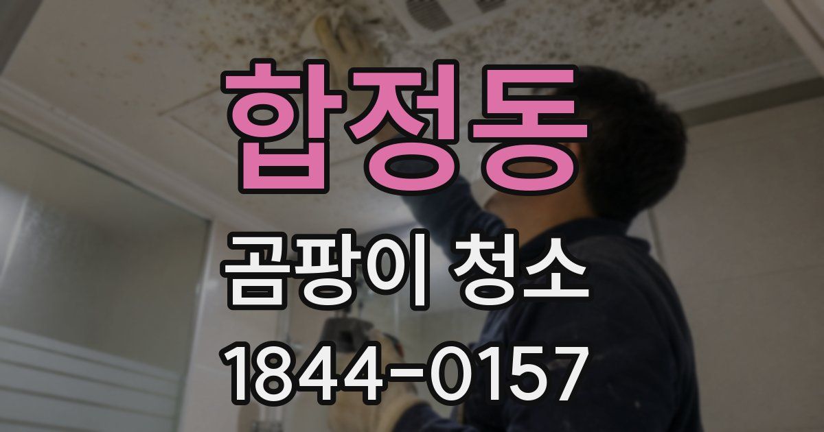 합정동 곰팡이 청소
