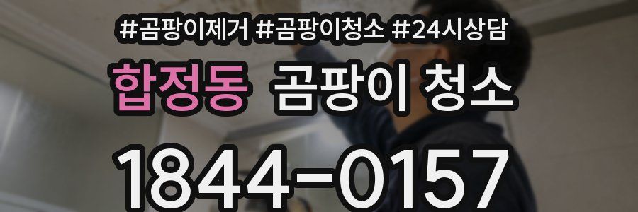 합정동 곰팡이 청소
