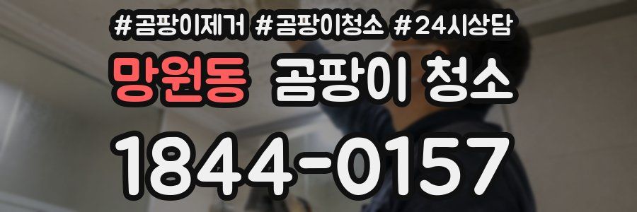 망원동 곰팡이 청소