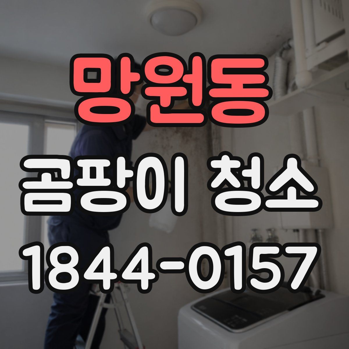 망원동 곰팡이 청소