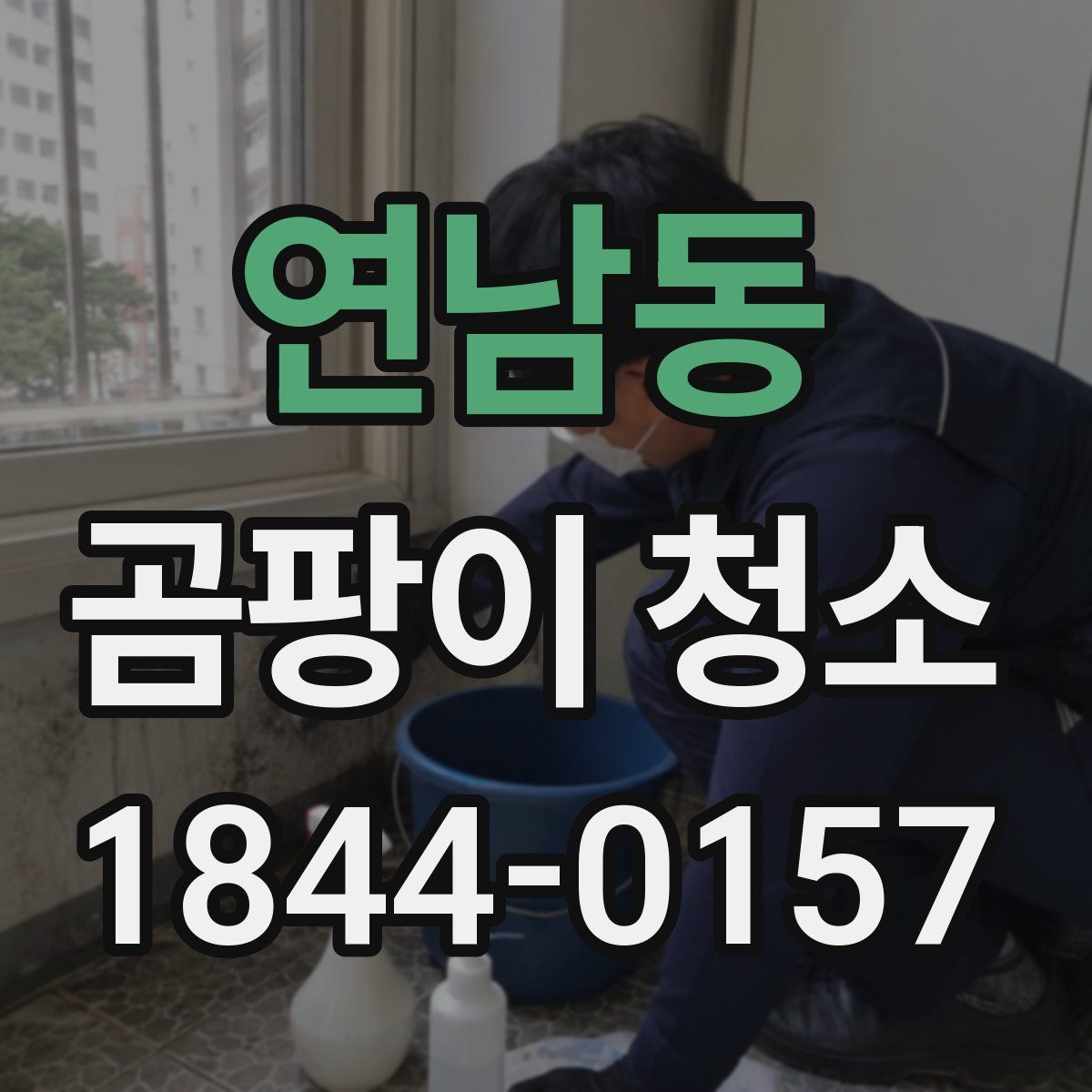 연남동 곰팡이 청소