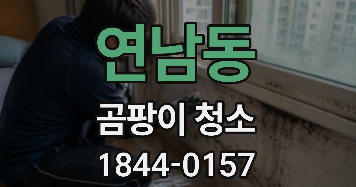연남동 곰팡이 청소