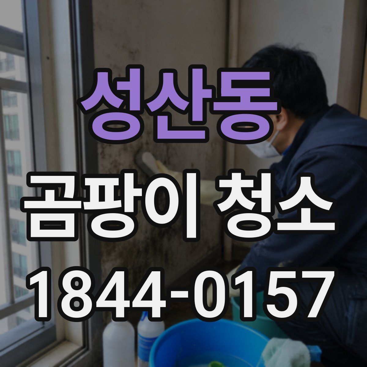 성산동 곰팡이 청소