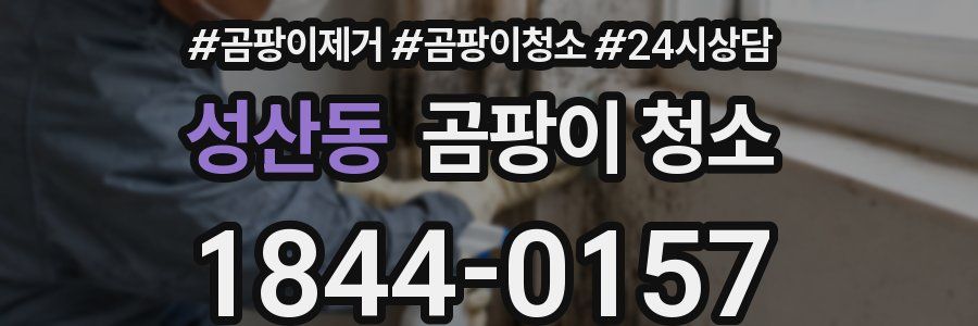 성산동 곰팡이 청소