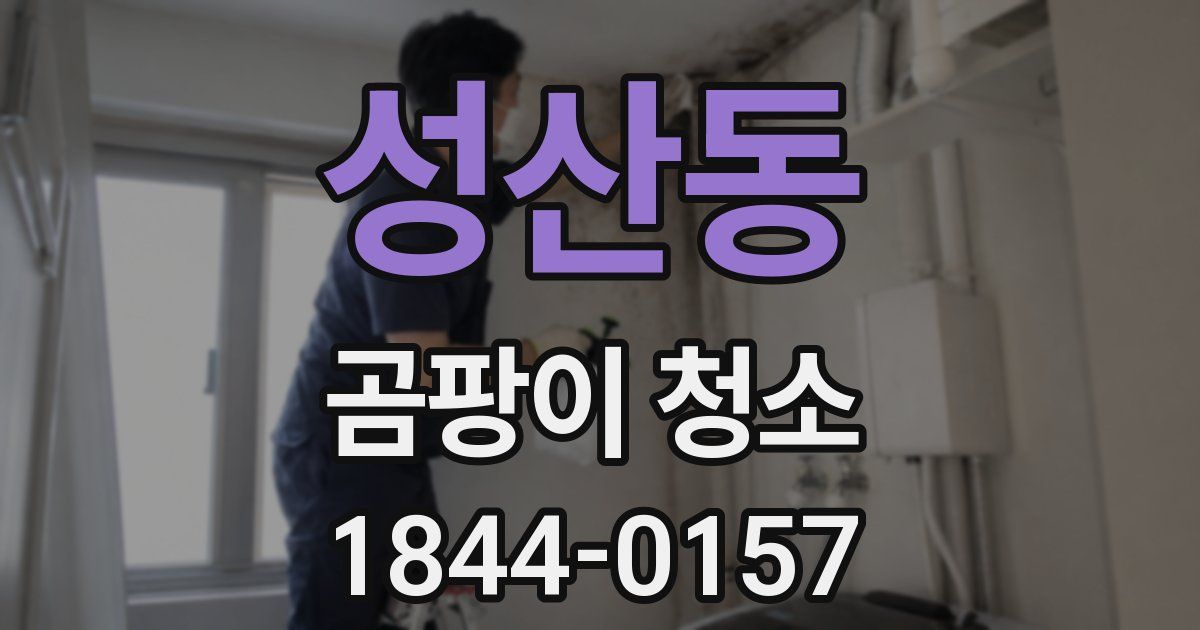 성산동 곰팡이 청소
