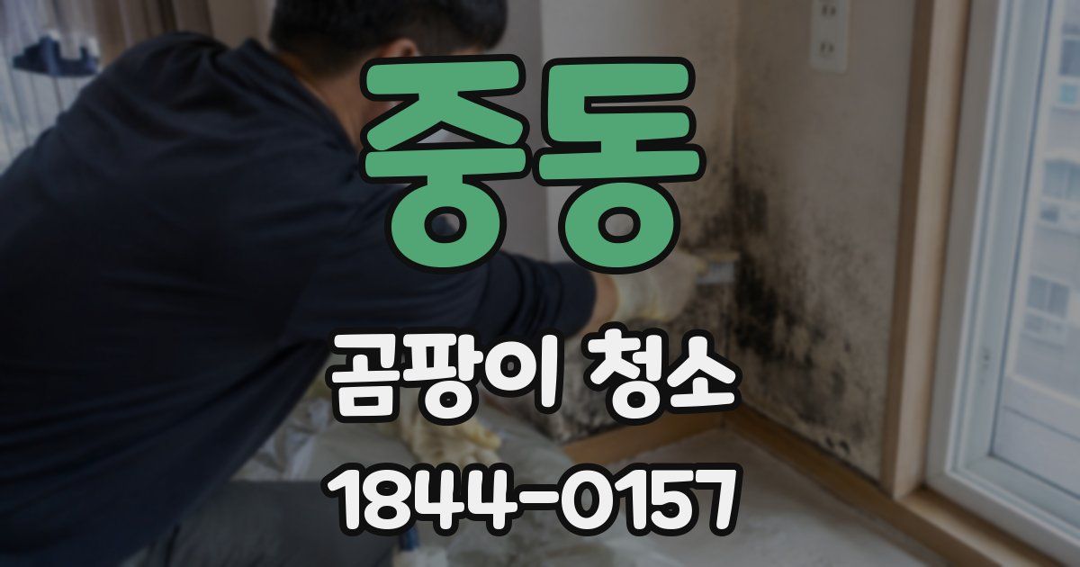 중동 곰팡이 청소