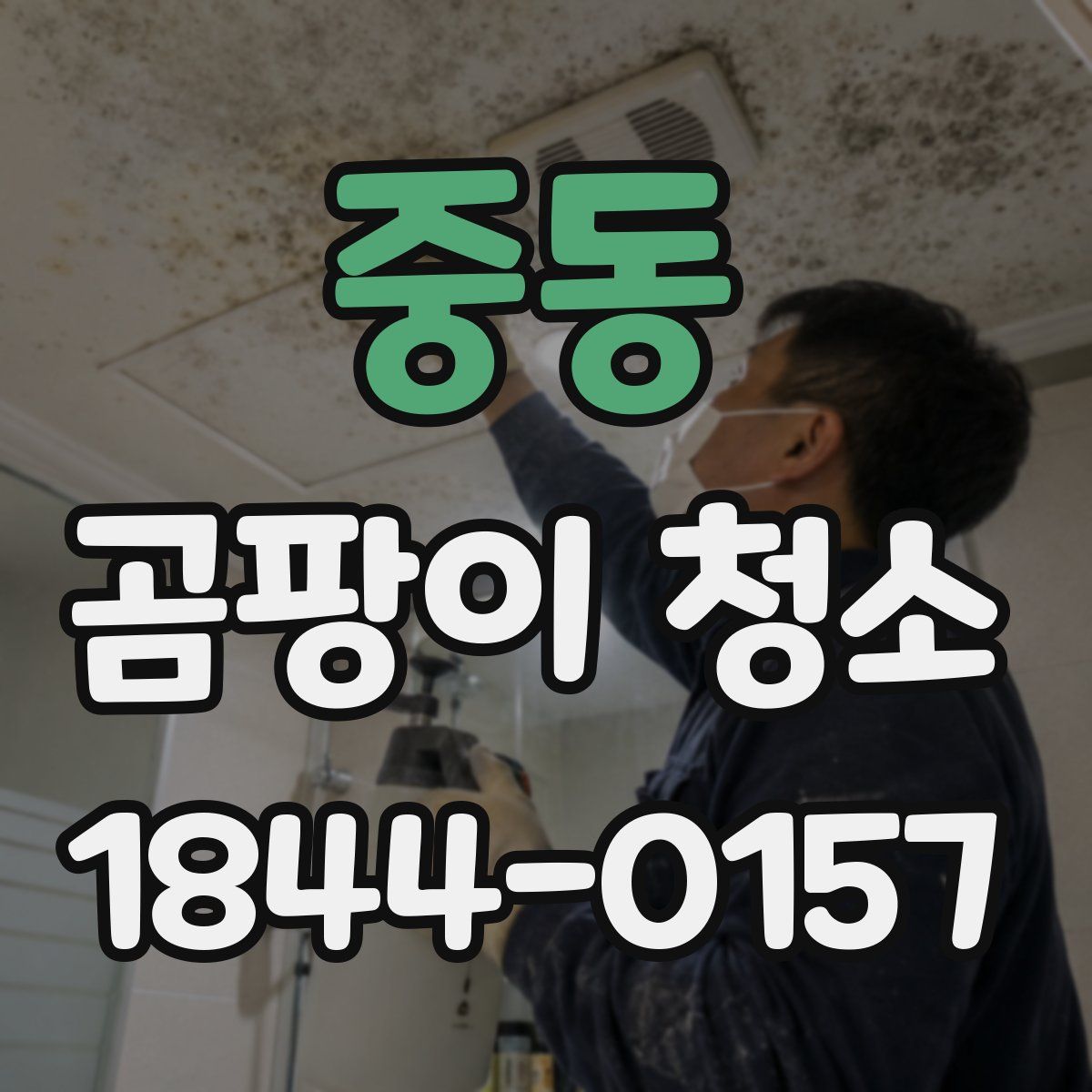 중동 곰팡이 청소