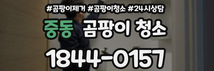 중동 곰팡이 청소