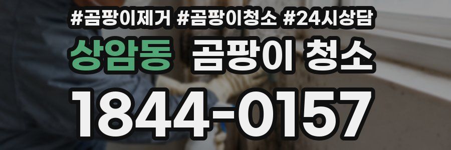 상암동 곰팡이 청소