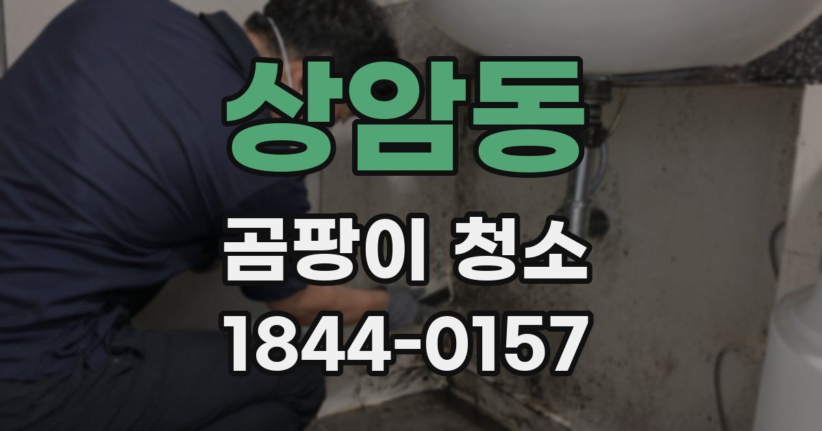 상암동 곰팡이 청소