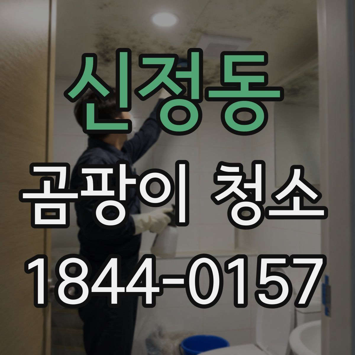 신정동 곰팡이 청소 결로와 통풍 문제를 함께 점검하는 방식
