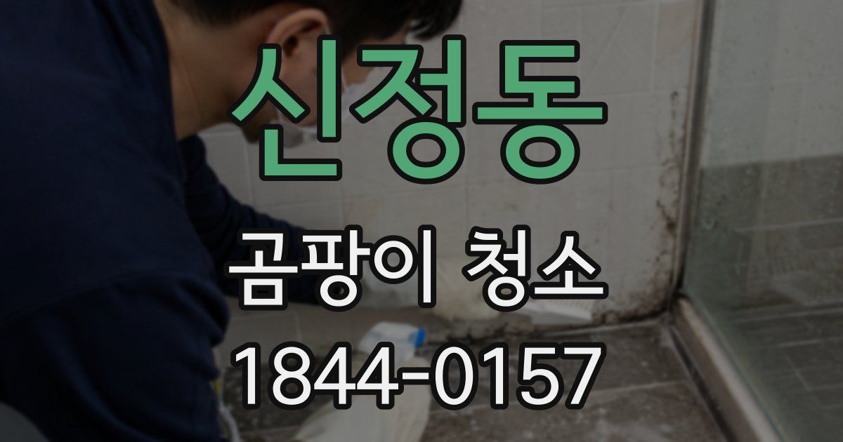 신정동 곰팡이 청소