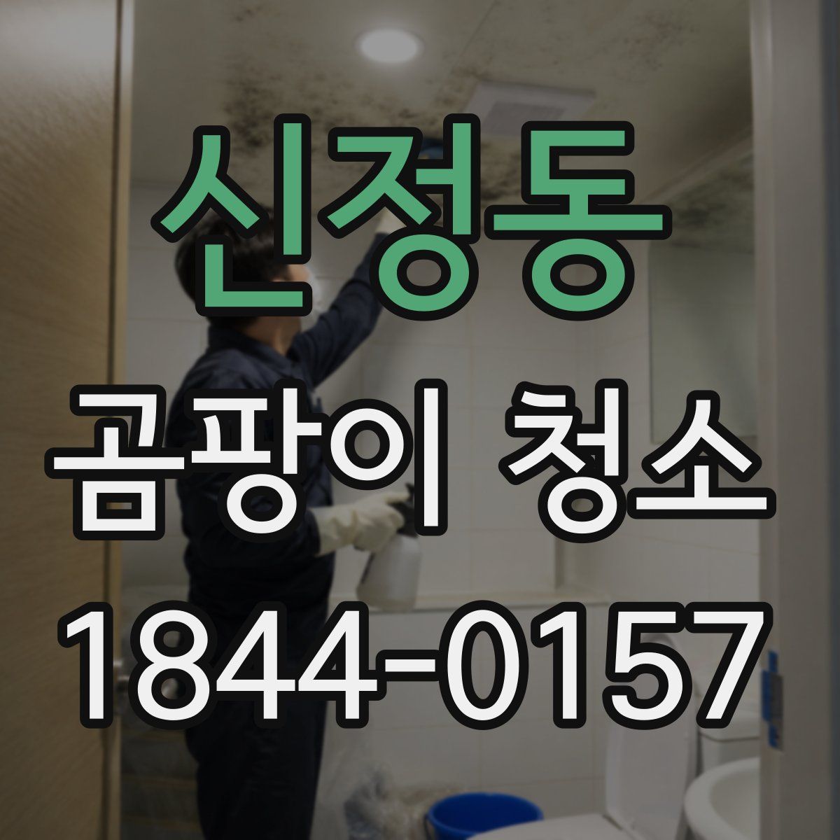 신정동 곰팡이 청소