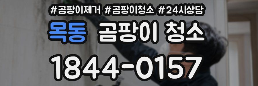 목동 곰팡이 청소