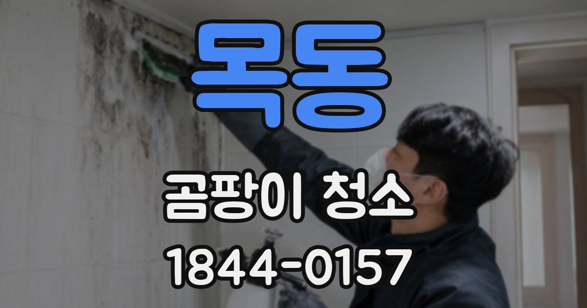 목동 곰팡이 청소