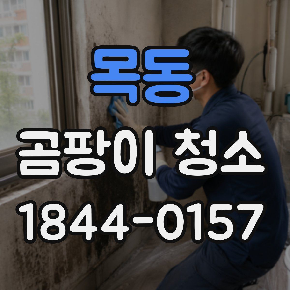 목동 곰팡이 청소
