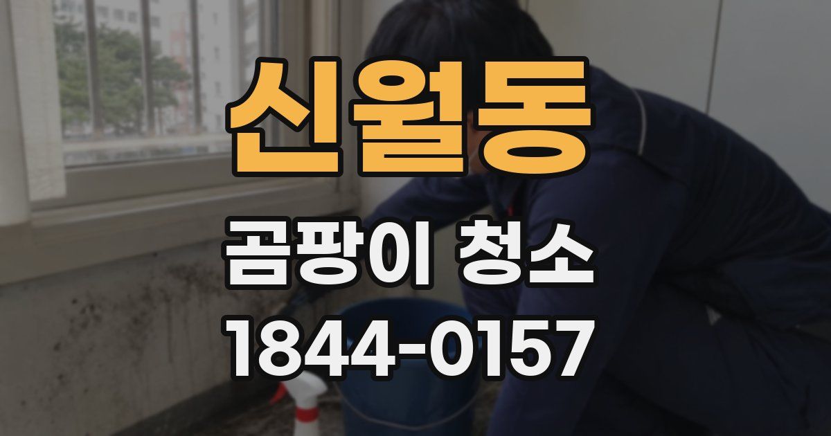 신월동 곰팡이 청소