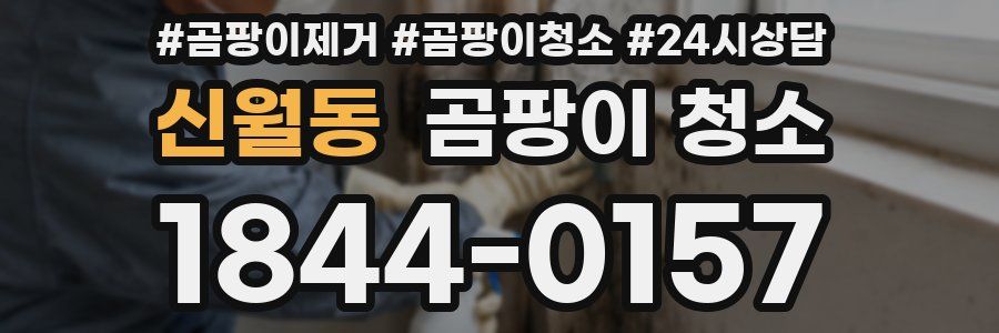 신월동 곰팡이 청소