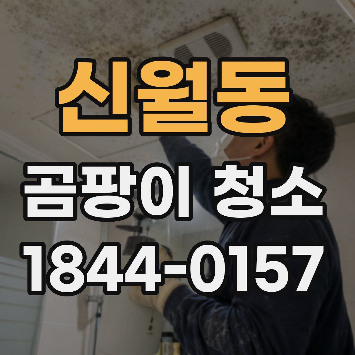 신월동 곰팡이 청소