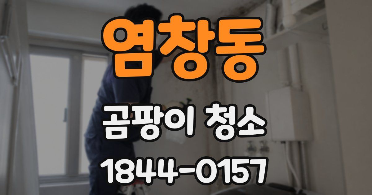 염창동 곰팡이 청소