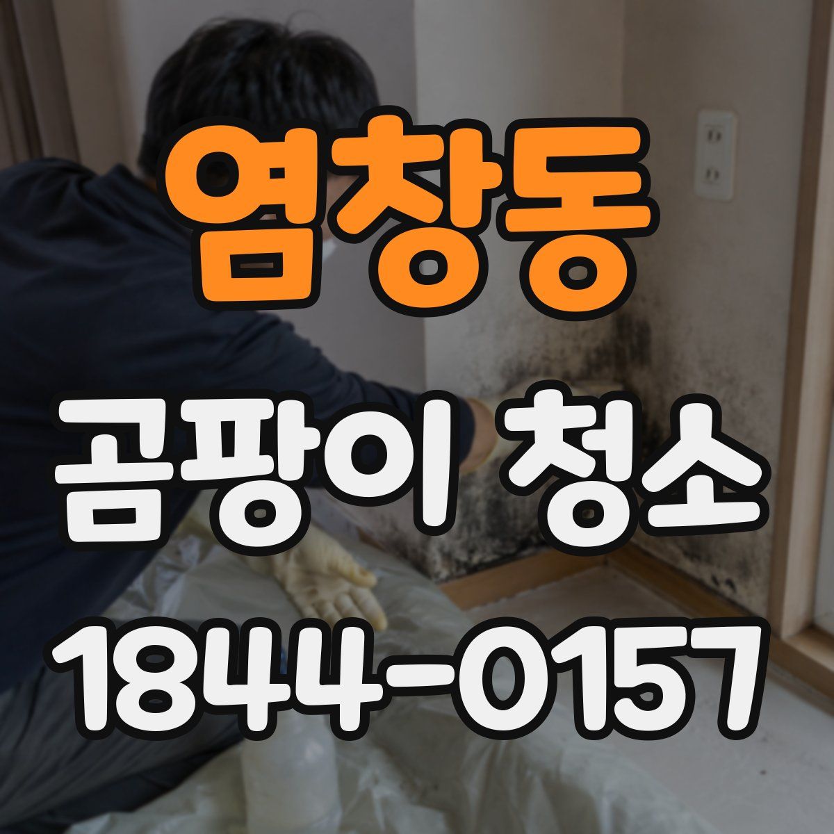 염창동 곰팡이 청소