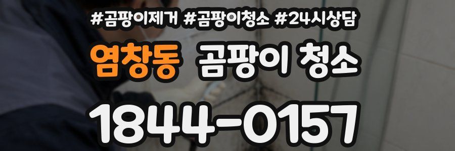 염창동 곰팡이 청소