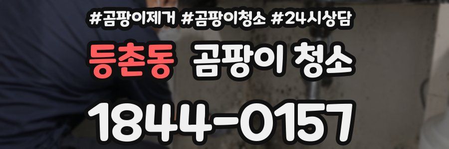 등촌동 곰팡이 청소