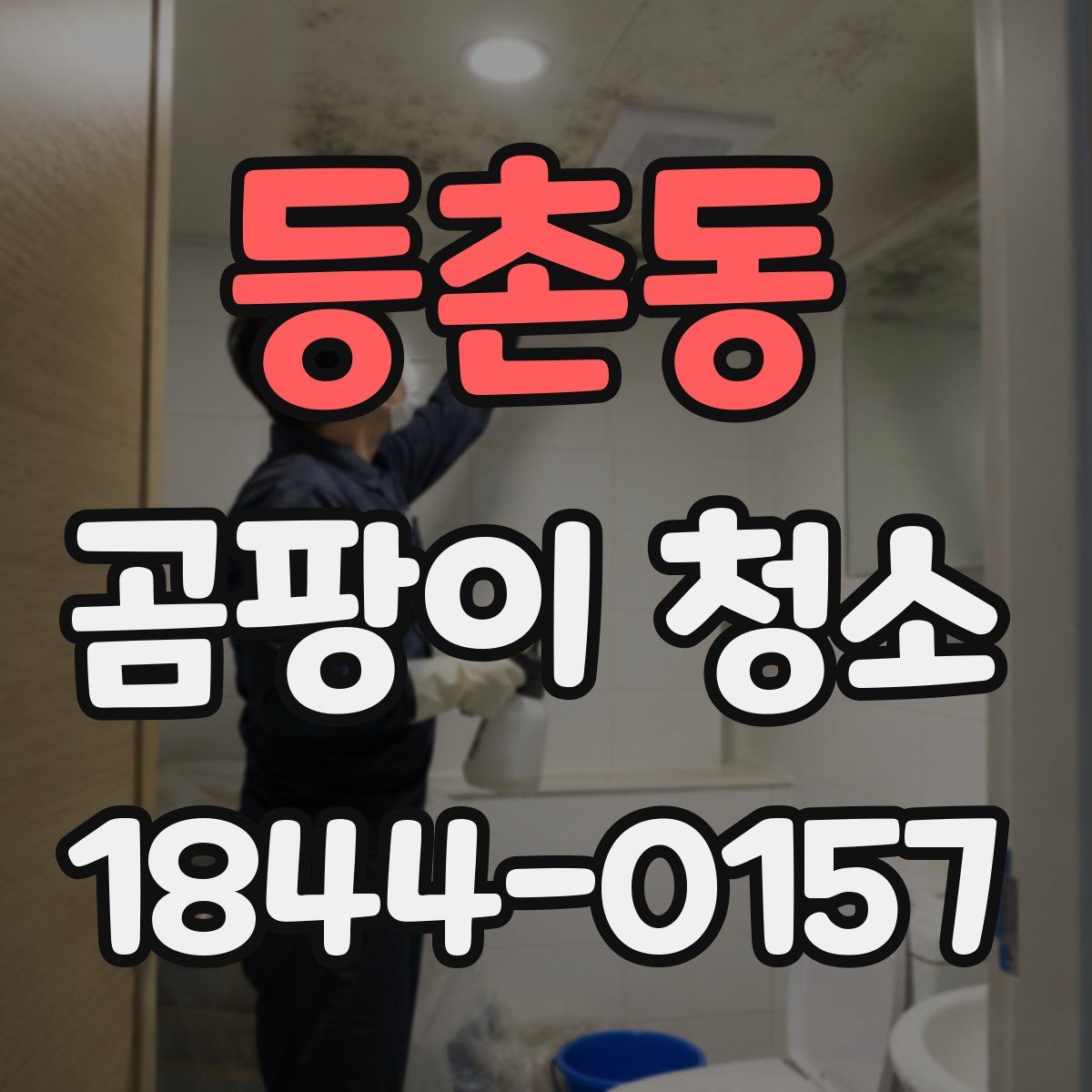 등촌동 곰팡이 청소