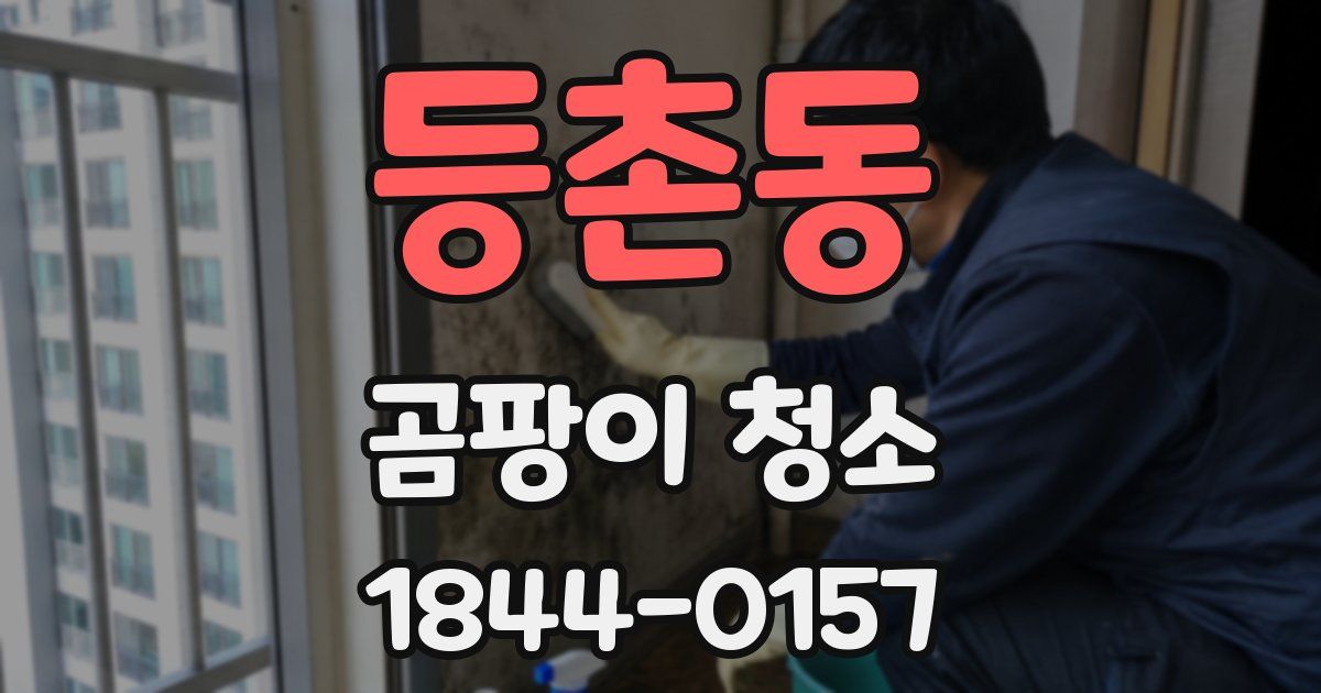 등촌동 곰팡이 청소