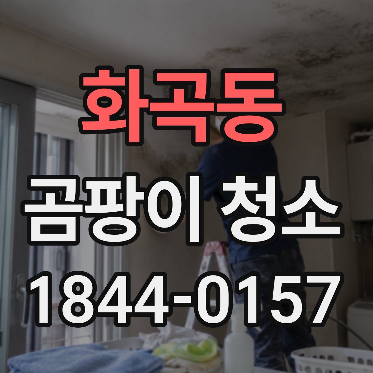 화곡동 곰팡이 청소