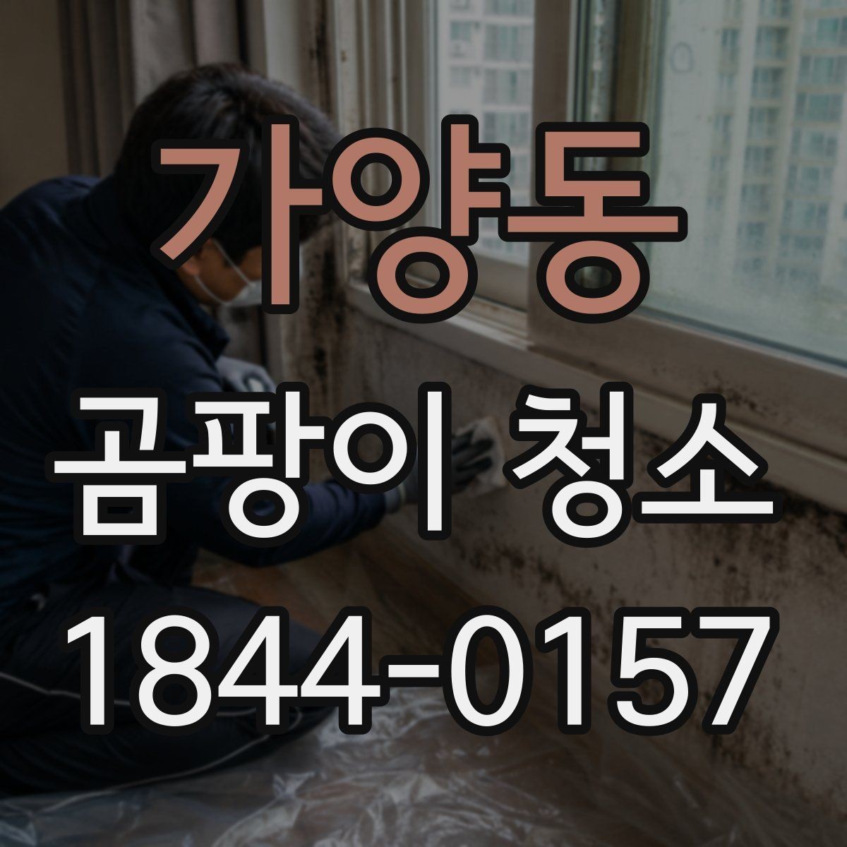가양동 곰팡이 청소 습도가 높은 집에서 자주 생기는 문제와 대처