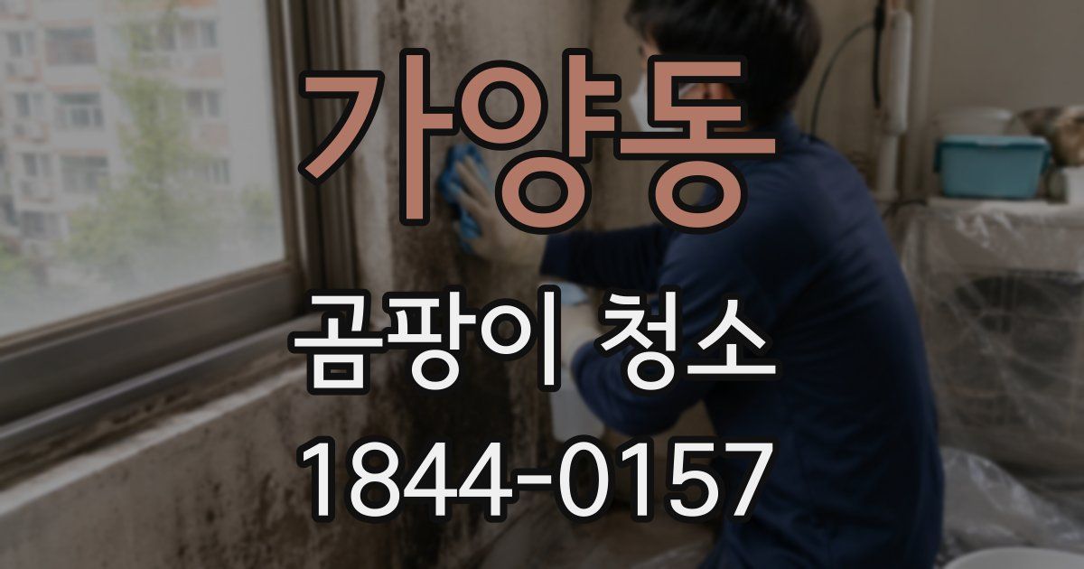 가양동 곰팡이 청소