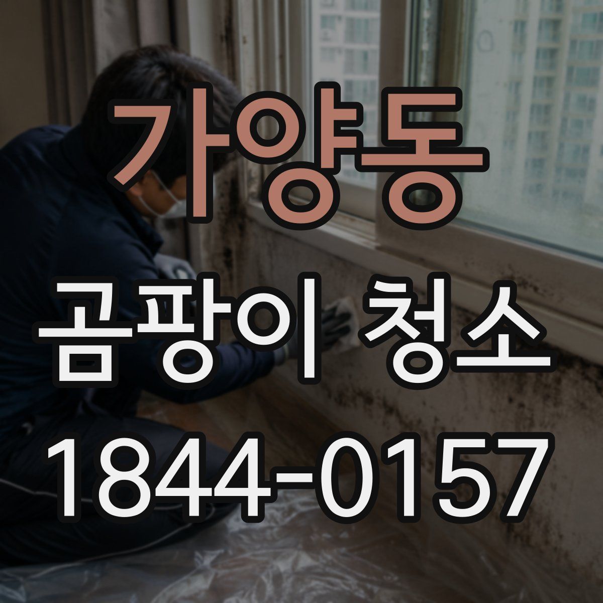 가양동 곰팡이 청소