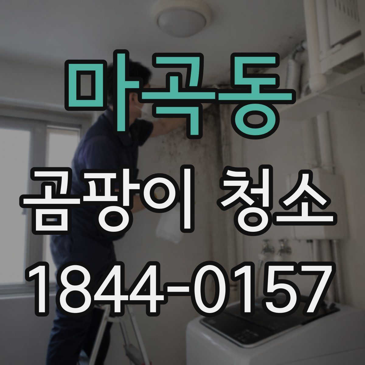 마곡동 곰팡이 청소