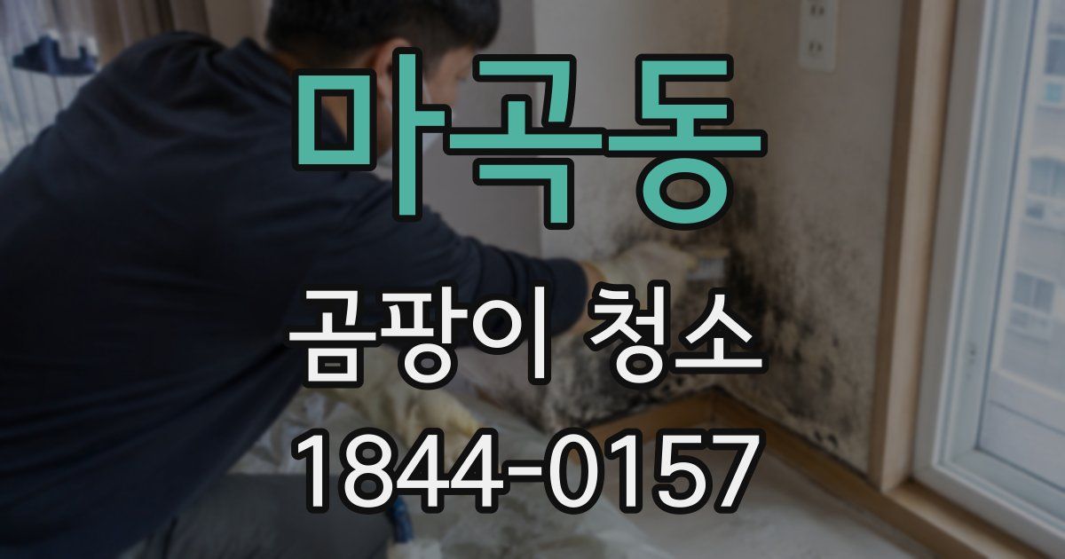 마곡동 곰팡이 청소