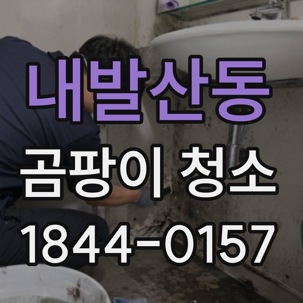내발산동 곰팡이 청소