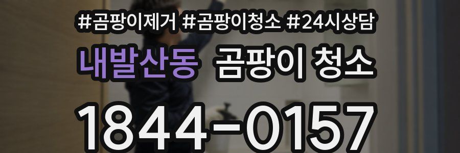 내발산동 곰팡이 청소