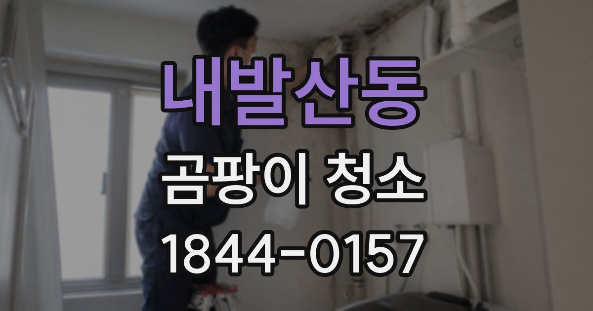 내발산동 곰팡이 청소