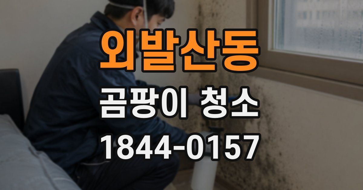 외발산동 곰팡이 청소