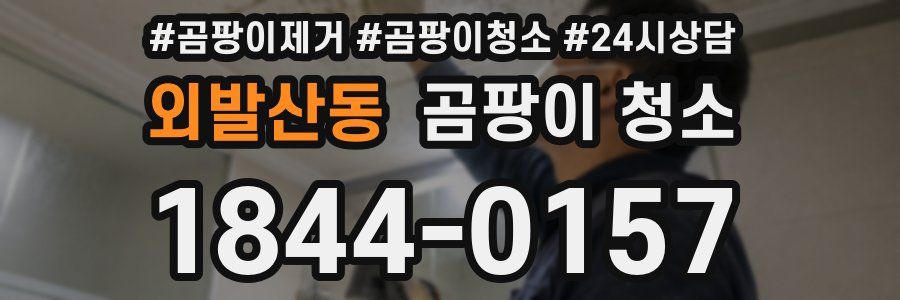 외발산동 곰팡이 청소