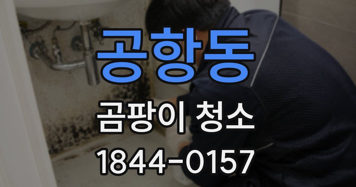 공항동 곰팡이 청소