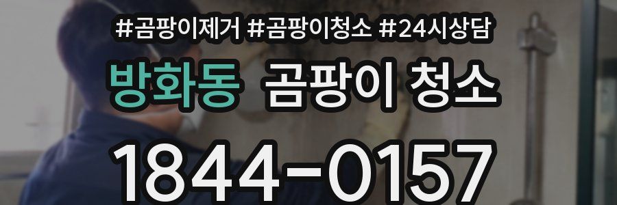 방화동 곰팡이 청소