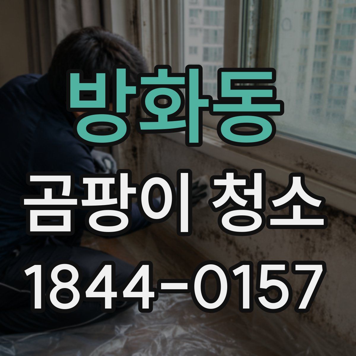 방화동 곰팡이 청소