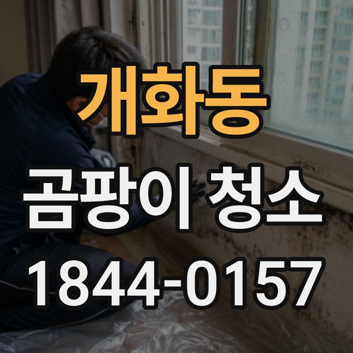 개화동 곰팡이 청소
