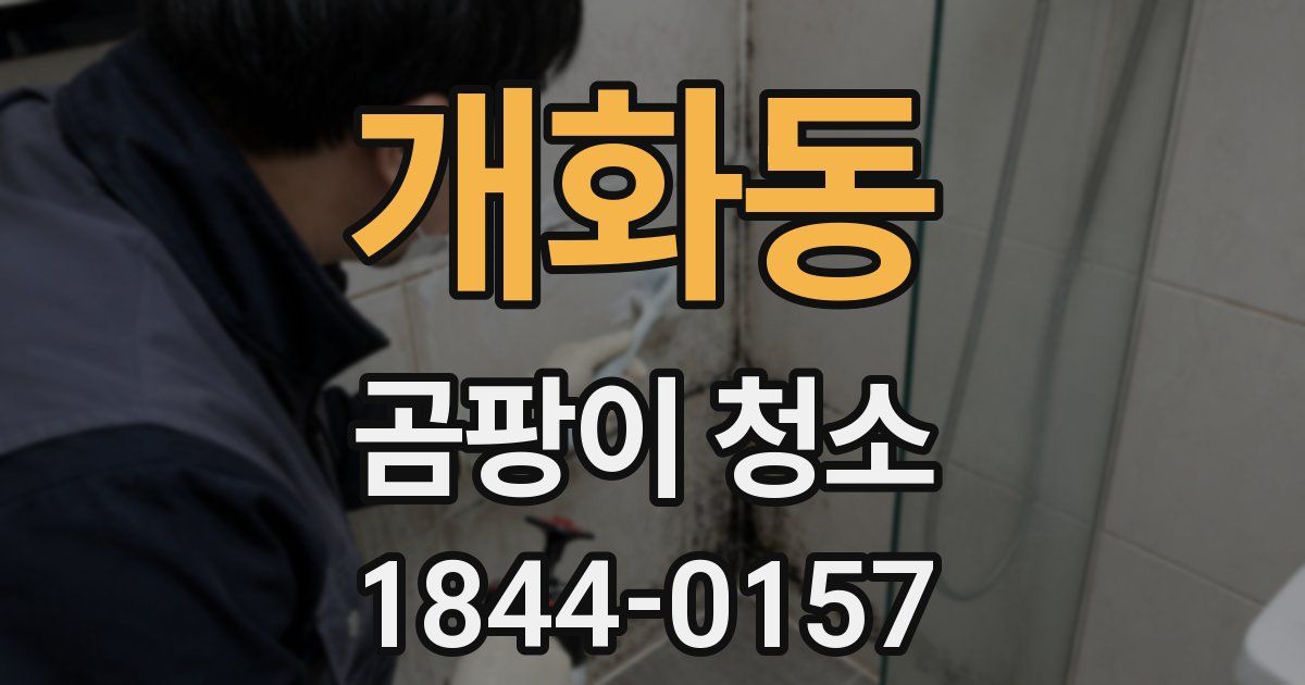 개화동 곰팡이 청소