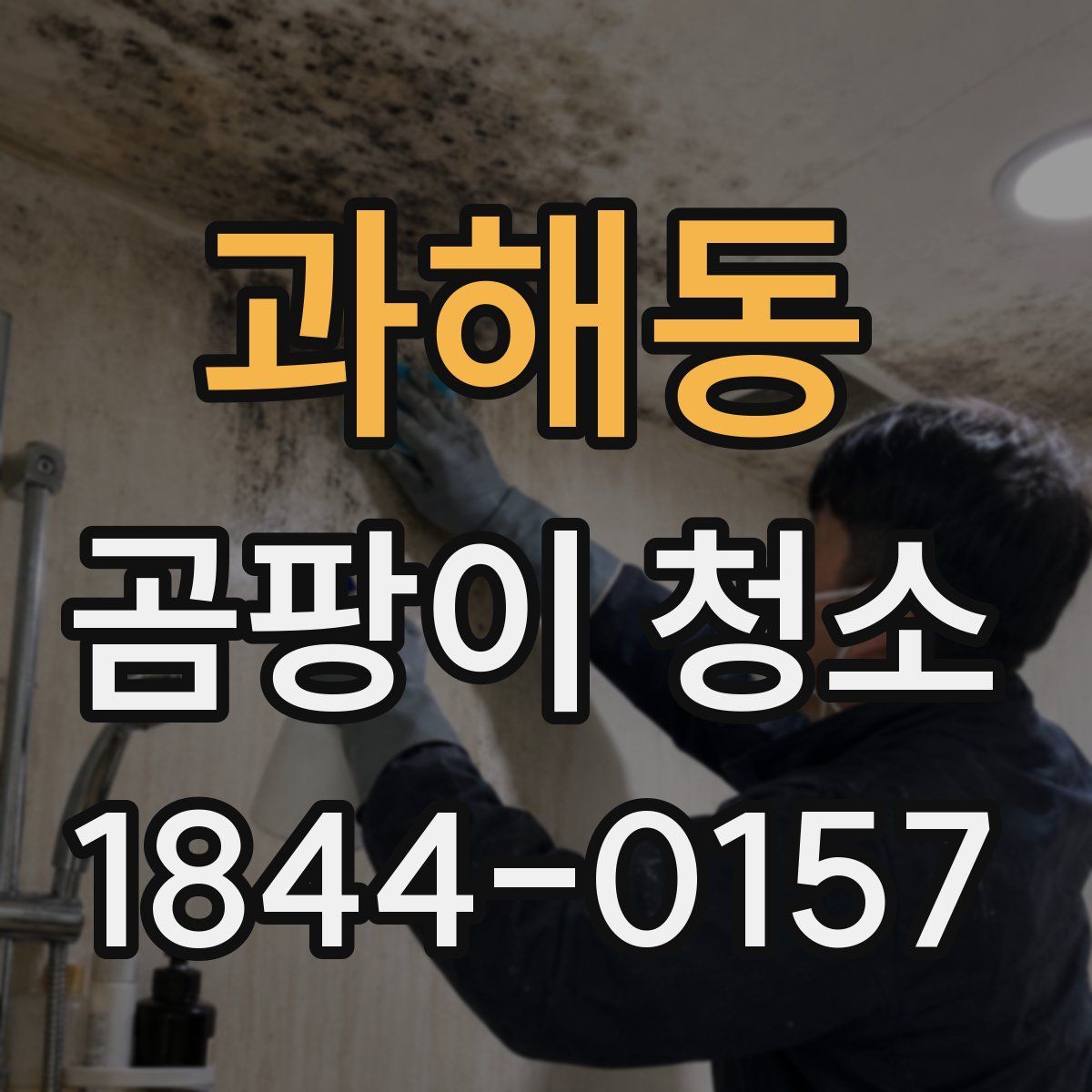 과해동 곰팡이 청소