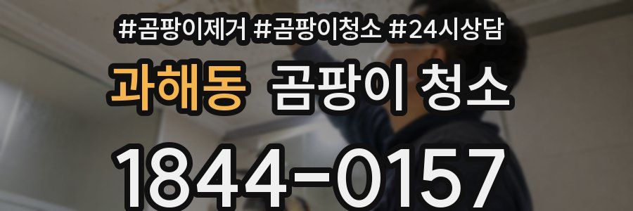 과해동 곰팡이 청소