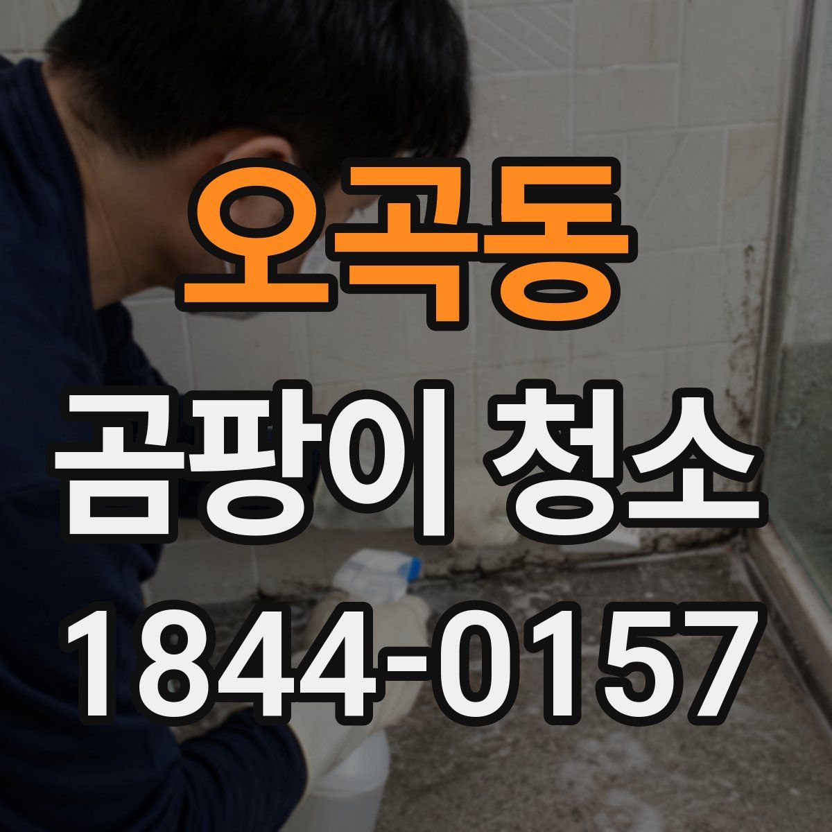 오곡동 곰팡이 청소