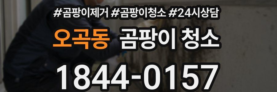 오곡동 곰팡이 청소