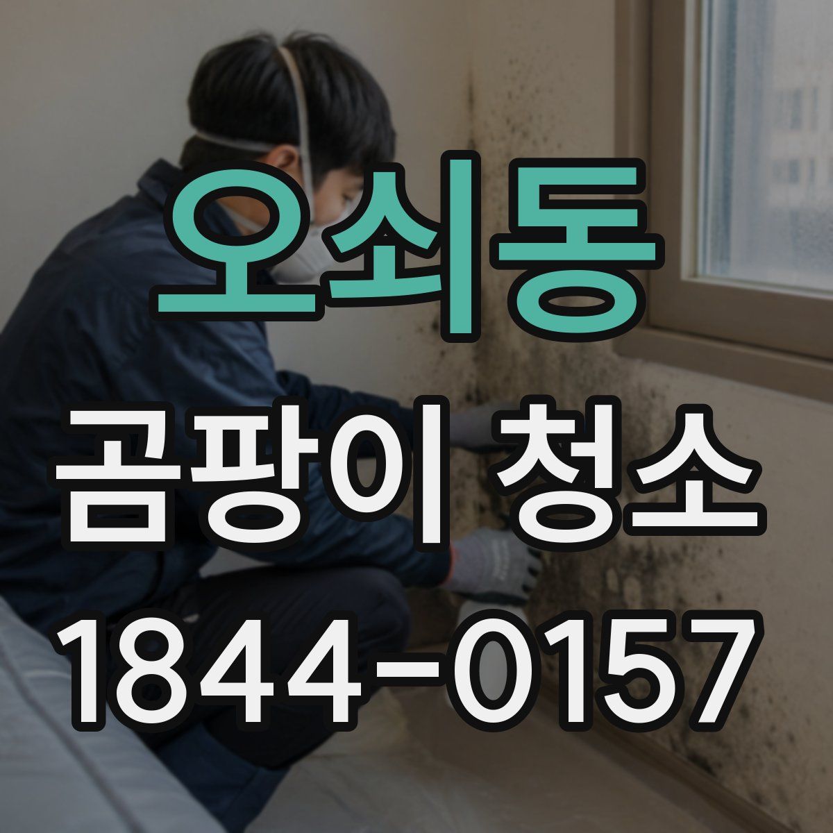 오쇠동 곰팡이 청소